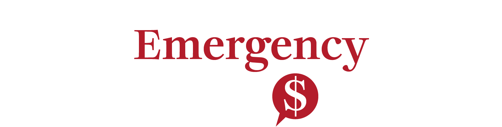 Emergency Cash Bubble Briefing logo 